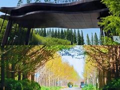 -黄海国家森林公园