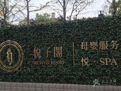 -悦子阁月子会所
