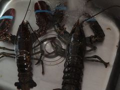 -鑫福隆生鲜超市(沈营大街店)