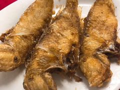 香煎龙利鱼-蛇口康乐快餐鱼仔档(翠苑小区店)