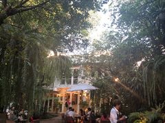 -Fern Forest Cafe