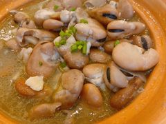 鸡汁发芽豆-骏莱海鲜鱼港(五角场店)