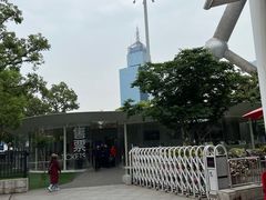 -东方明珠广播电视塔