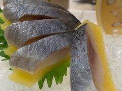 -禾绿寿司·定食·拉面·烧炸(喜荟城店)