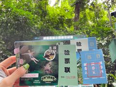 -西双版纳原始森林公园
