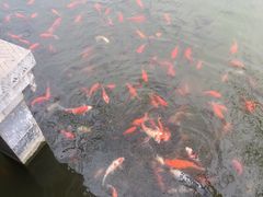 -花洲书院