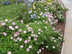 -深圳国际园林花卉博览园