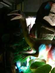 -恐龙探索乐园(磁器口店)