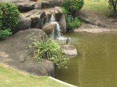 -厦门悦华酒店