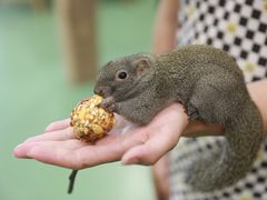 -藦茜花园宠物主题亲子互动体验馆(国顺东路店)