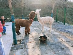 -西部长青自然儿童乐园