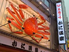 -蟹道乐(道顿堀本店)