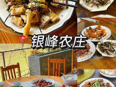 -银峰农庄·特色烧鸡·鲜无花果浸鸡