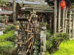 -青城甲(青城山店)