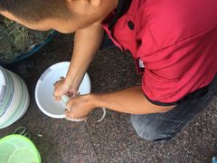 八爪鱼-海之味海鲜大咖·家常菜
