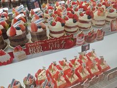 -极致味道动物奶油生日蛋糕(时尚店)