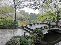 -西湖外事游船(花港观鱼码头)