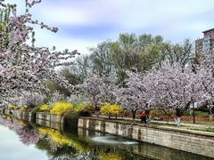 -元大都城垣遗址公园