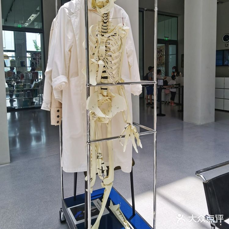 西岸美术馆——孩子们的绝佳免费室内乐园