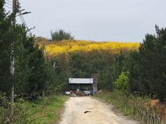 -浈阳坊旅游小镇