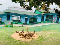 -西霞口神雕山野生动物世界