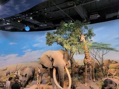 -陕西自然博物馆