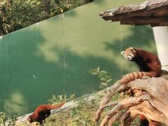 -大连森林动物园