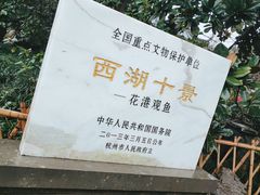 -西湖外事游船(花港观鱼码头)