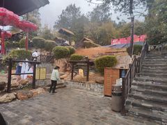 -崇阳三特浪口温泉