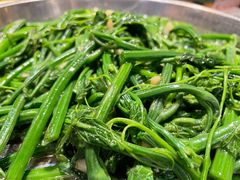 清炒南瓜苗-猪肉婆私房菜(容桂总店)