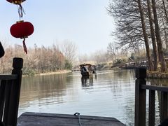 -溱湖国家湿地公园