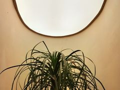 -循礼门鲜花花市(武汉循礼门店)