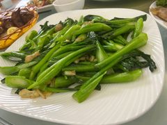 -泉龙渔村·粤式早茶·金牌烧鹅(中山三乡店)