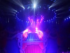 -珠海横琴长隆《卡卡虎奇遇记》