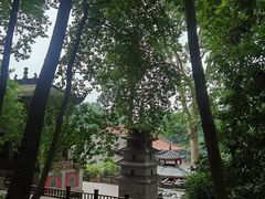 -都江堰普照寺