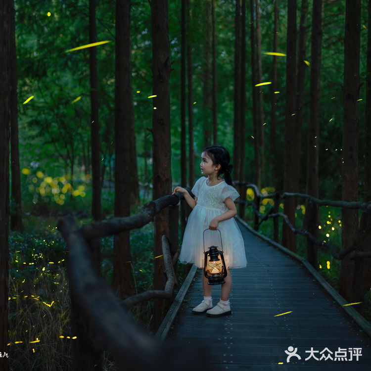 🌟莫干山zui梦幻的萤火虫基地,私藏的宝藏地