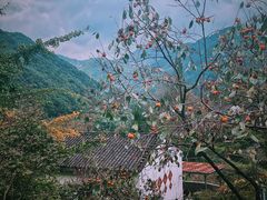 -丹山赤水风景名胜区