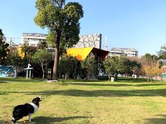 -智慧湾科创园
