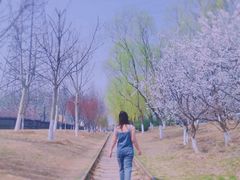 -永定河休闲森林公园