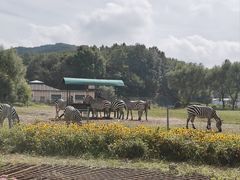 -哈尔滨北方森林动物园