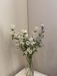 -杭州海亮医院 · 禾芸嘉医美中心