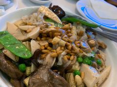 -食为先(Shark Fin)
