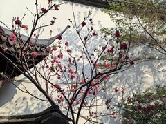 -胡雪岩故居