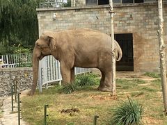 -石家庄市动物园