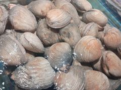 -连鹭海鲜·海肠捞饭·海胆饭(星海店)