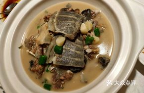 Stewed Softshell Turtle