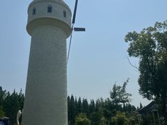 -东平国家森林公园