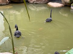 -南宁荔园维景国际酒店·荔园中餐厅