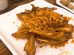 -正能量脆肉鲩火锅