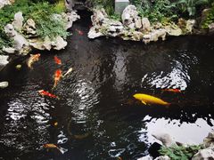 -鲤院·新中式美学·庭院餐厅(夫子庙店)